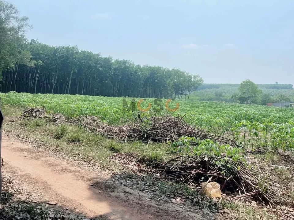 Hình ảnh nhà 3 Hình ảnh nhà 3