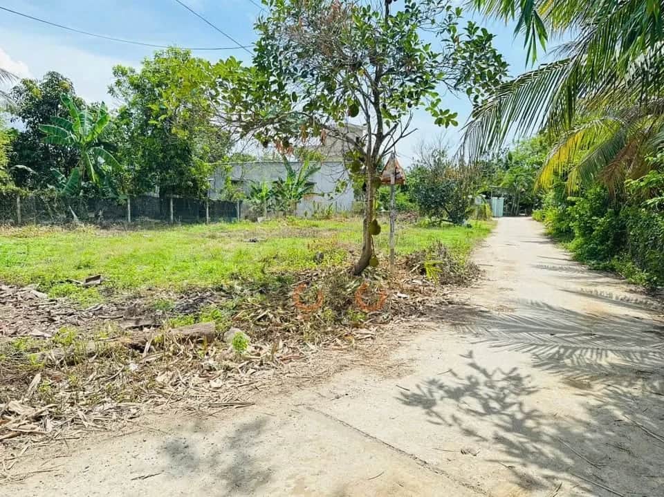 Bán đất Thôn An Ninh Huyện Diên Khánh, Khánh Hòa – giá 820 triệu Bán đất Thôn An Ninh Huyện Diên Khánh, Khánh Hòa – giá 820 triệu