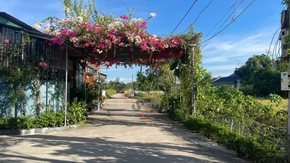Bán đất Xóm Trường An Huyện Nghi Lộc, Nghệ An – giá 1.4 tỷ Bán đất Xóm Trường An Huyện Nghi Lộc, Nghệ An – giá 1.4 tỷ