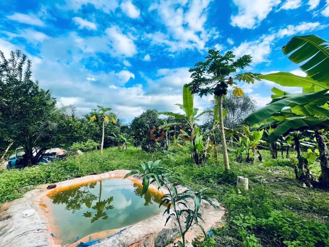 Hình ảnh nhà 3 Hình ảnh nhà 3