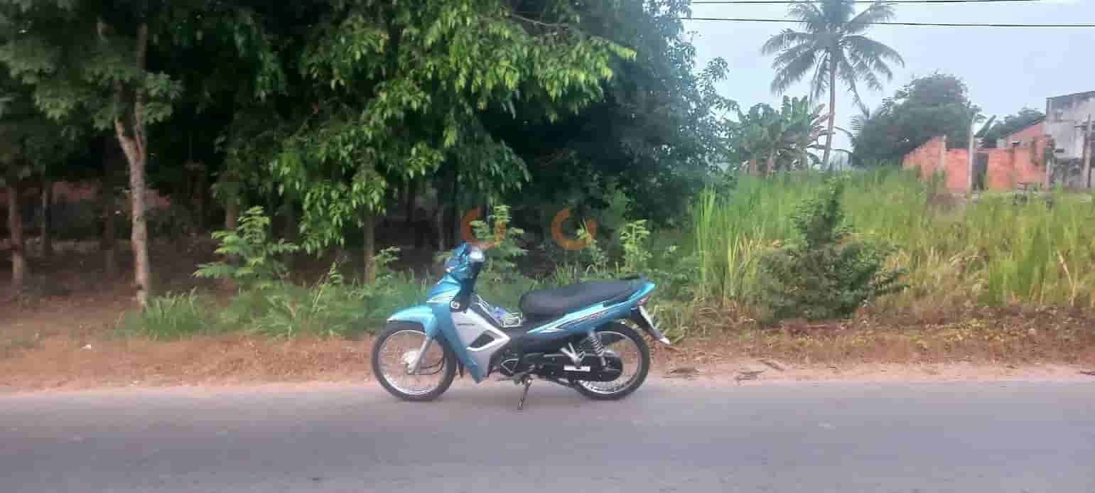 Image Image