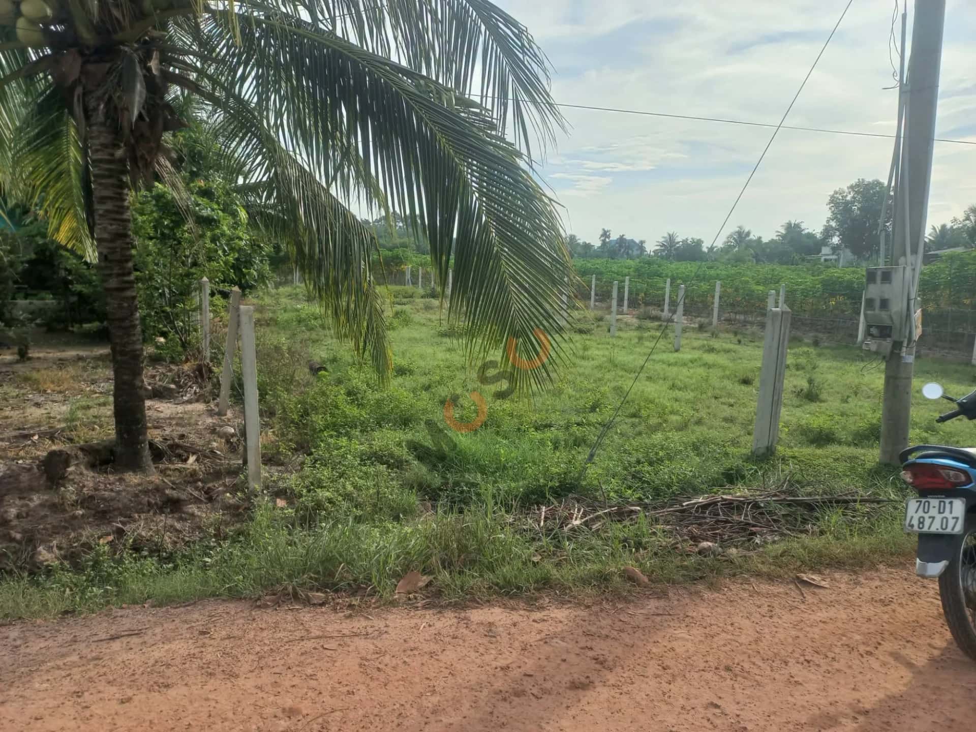 Bán đất Ấp Chòm Dừa Huyện Châu Thành, Tây Ninh – giá 390 triệu — Hình 2 Bán đất Ấp Chòm Dừa Huyện Châu Thành, Tây Ninh – giá 390 triệu — Hình 2