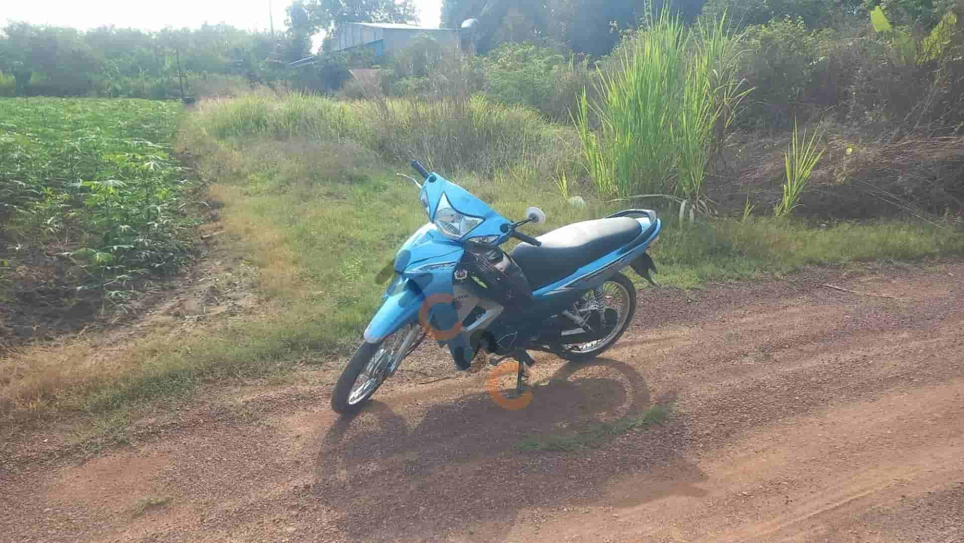 Image Image
