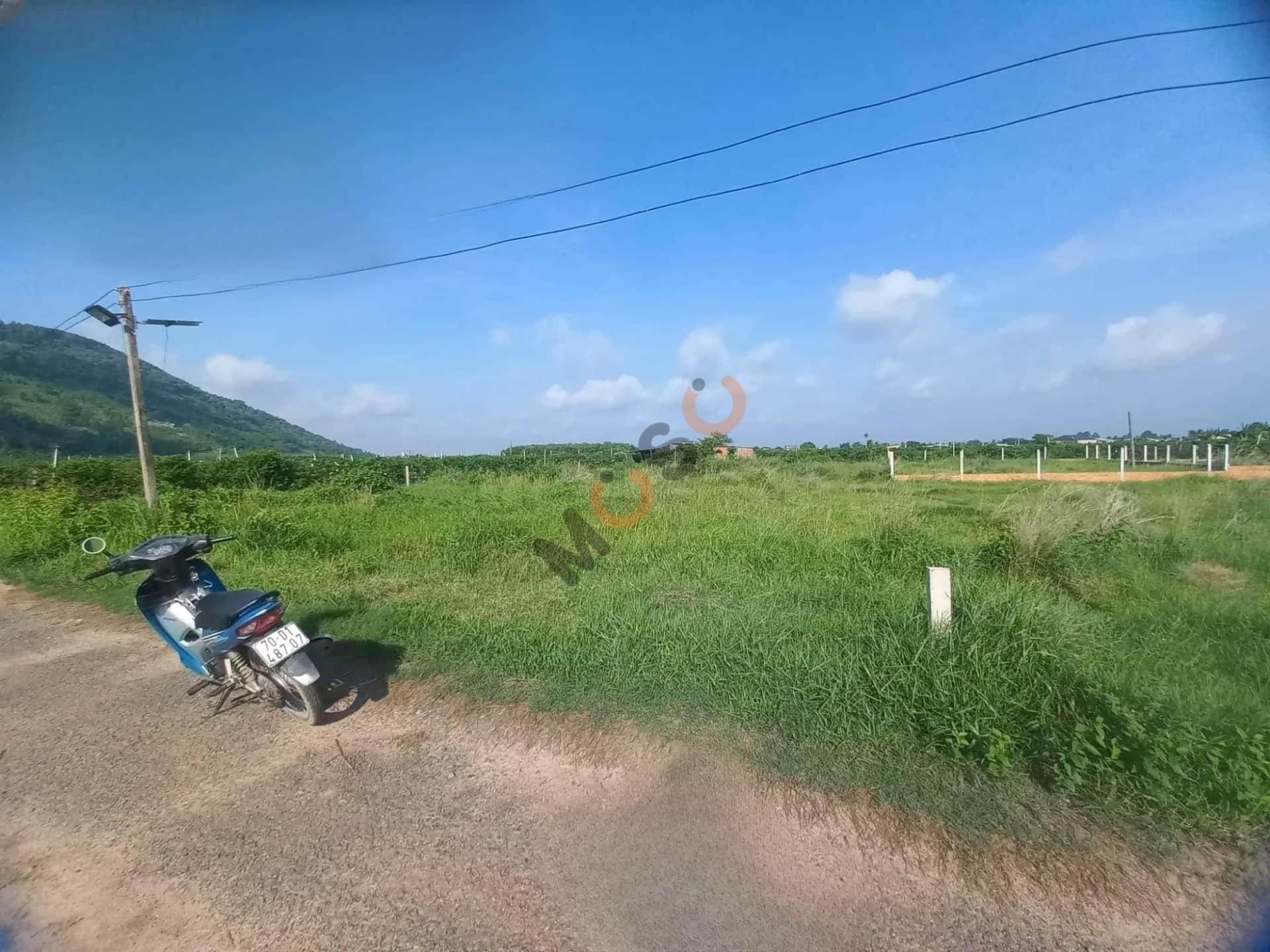 Bán đất Ấp Thanh Lợi Thành phố Tây Ninh, Tây Ninh – giá 1.5 tỷ Bán đất Ấp Thanh Lợi Thành phố Tây Ninh, Tây Ninh – giá 1.5 tỷ