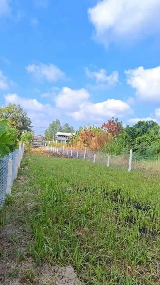 Bán đất Ấp Nhơn Lộc 1A Huyện Phong Điền, TP. Cần Thơ – giá 1.4 tỷ Bán đất Ấp Nhơn Lộc 1A Huyện Phong Điền, TP. Cần Thơ – giá 1.4 tỷ