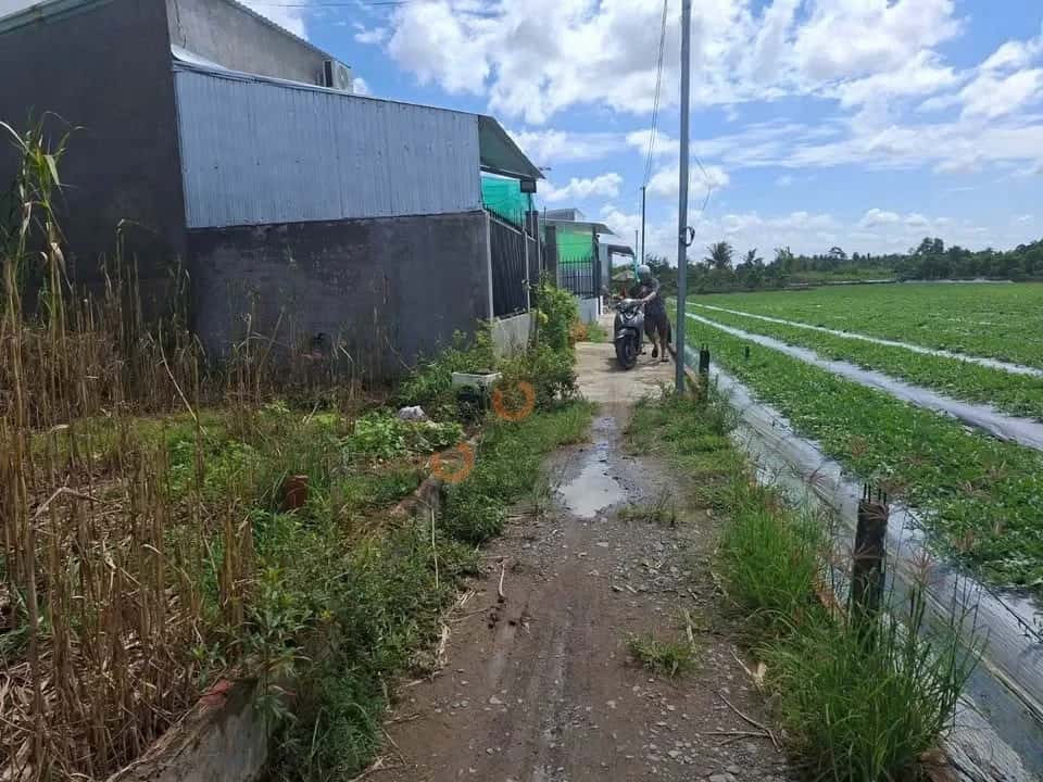 Hình ảnh nhà 2 Hình ảnh nhà 2