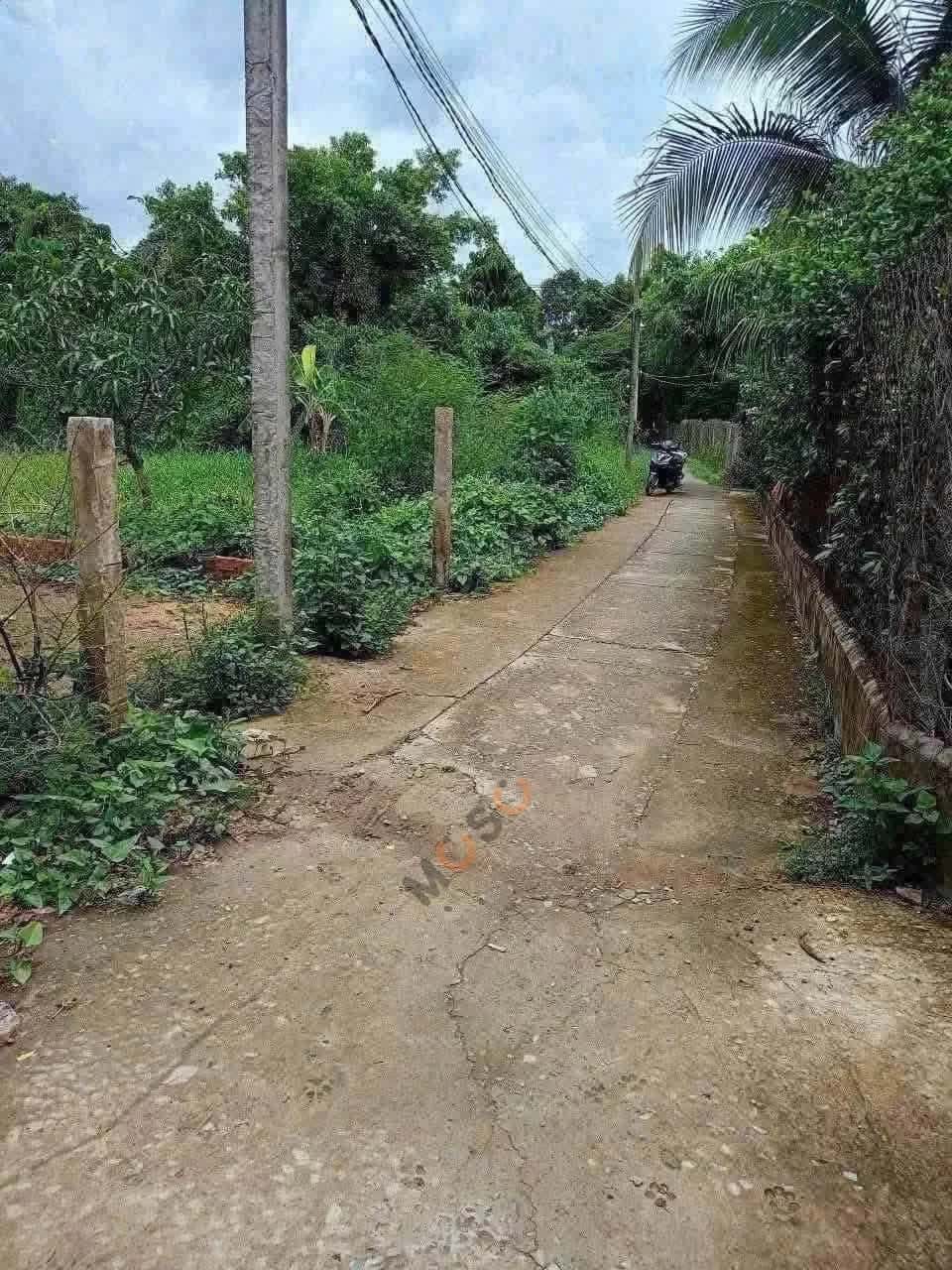 Hình ảnh nhà 3 Hình ảnh nhà 3