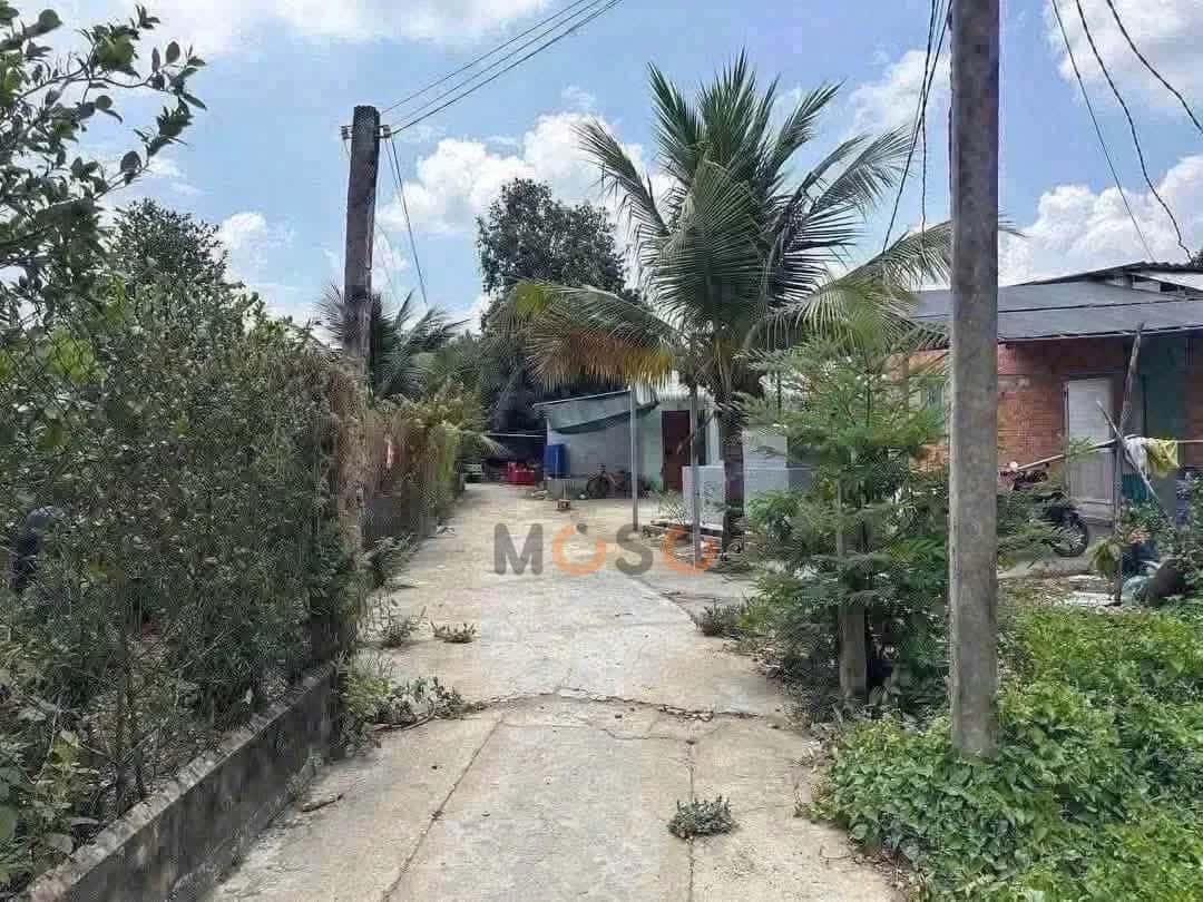 Hình ảnh nhà 2 Hình ảnh nhà 2