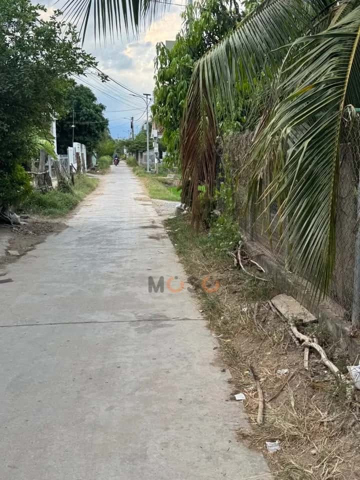 Hình ảnh nhà 2 Hình ảnh nhà 2