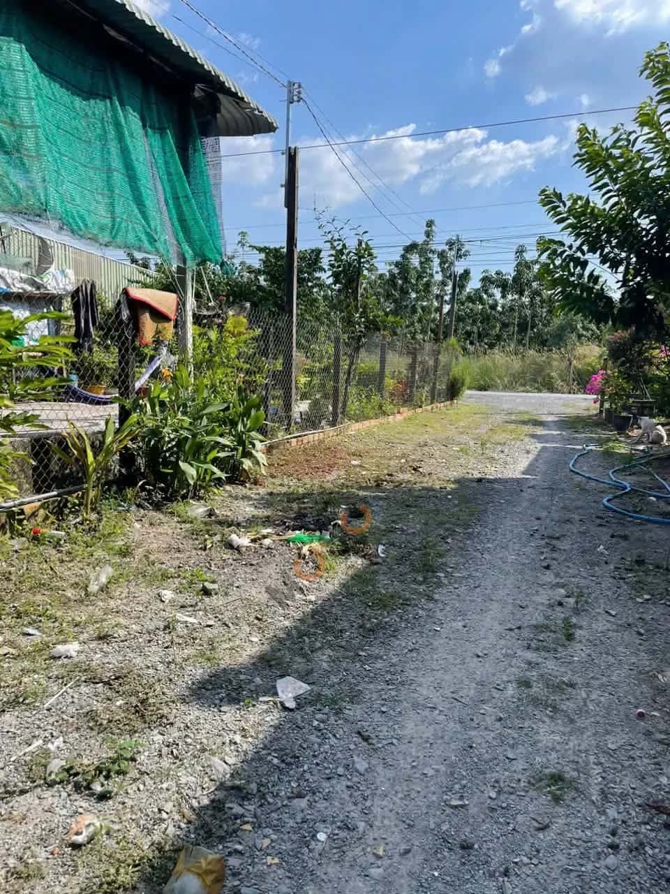 Hình ảnh nhà 2 Hình ảnh nhà 2