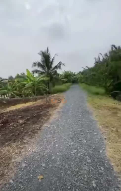 Hình ảnh nhà 3 Hình ảnh nhà 3
