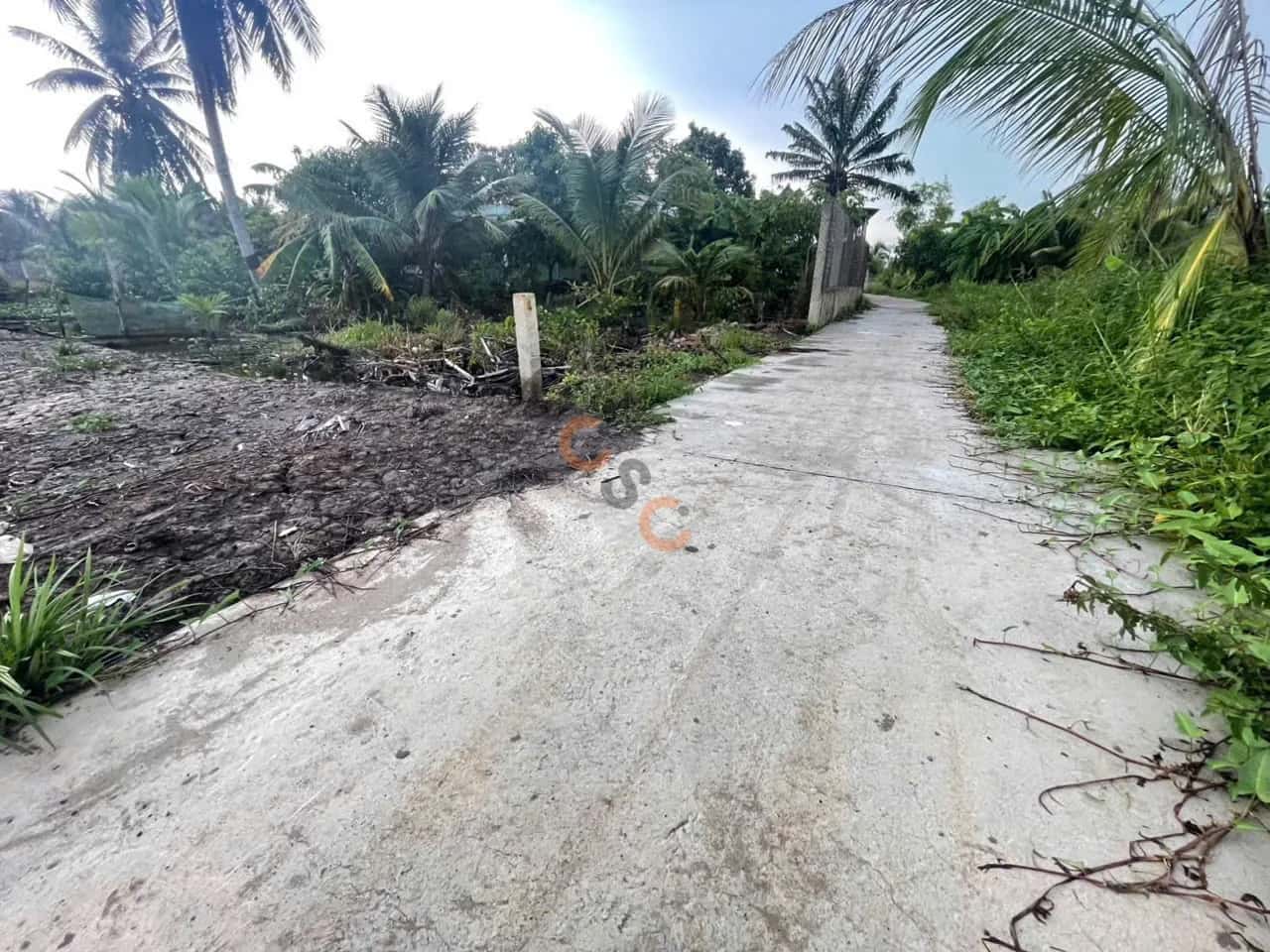 Hình ảnh nhà 3 Hình ảnh nhà 3