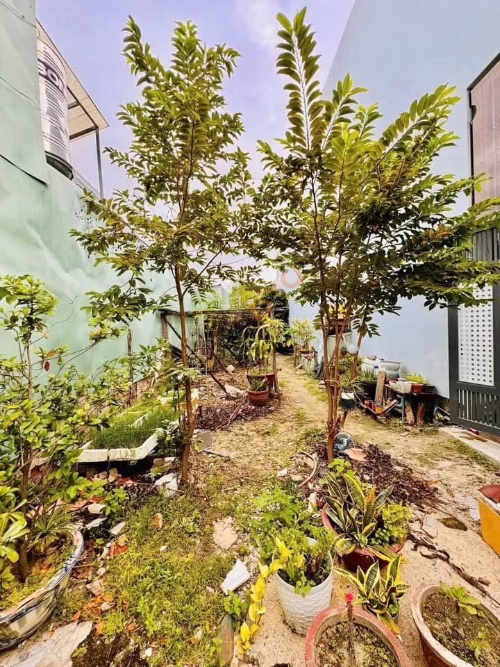 Bán đất Phú Xương Thành phố Nha Trang, Khánh Hòa – giá 3.2 tỷ Bán đất Phú Xương Thành phố Nha Trang, Khánh Hòa – giá 3.2 tỷ