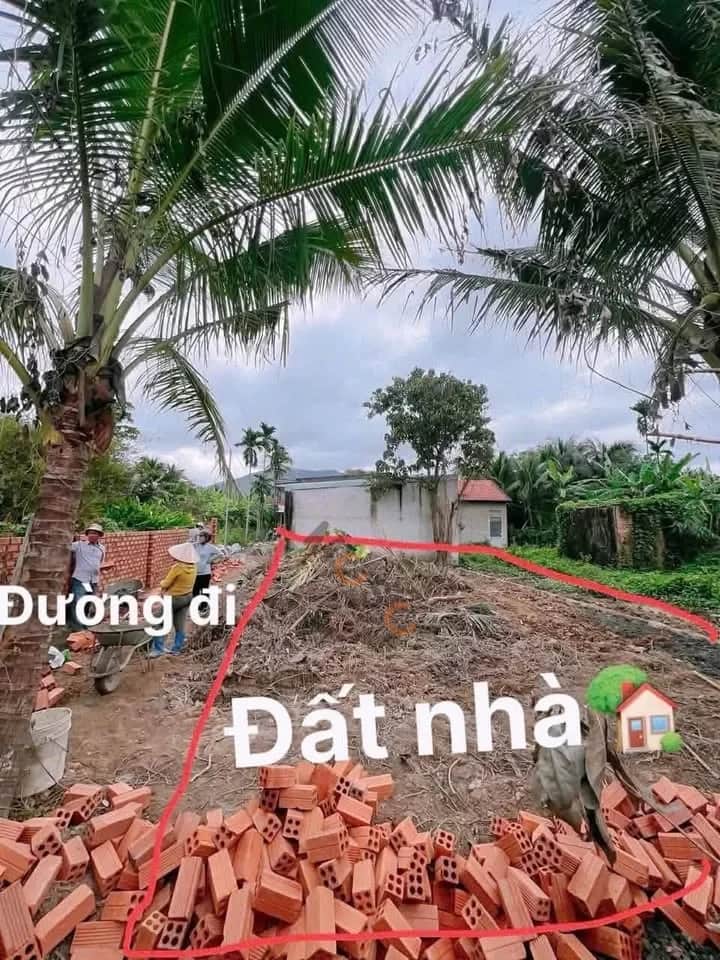 Bán đất Thôn Trung Nam Huyện Diên Khánh, Khánh Hòa – giá 790 triệu Bán đất Thôn Trung Nam Huyện Diên Khánh, Khánh Hòa – giá 790 triệu