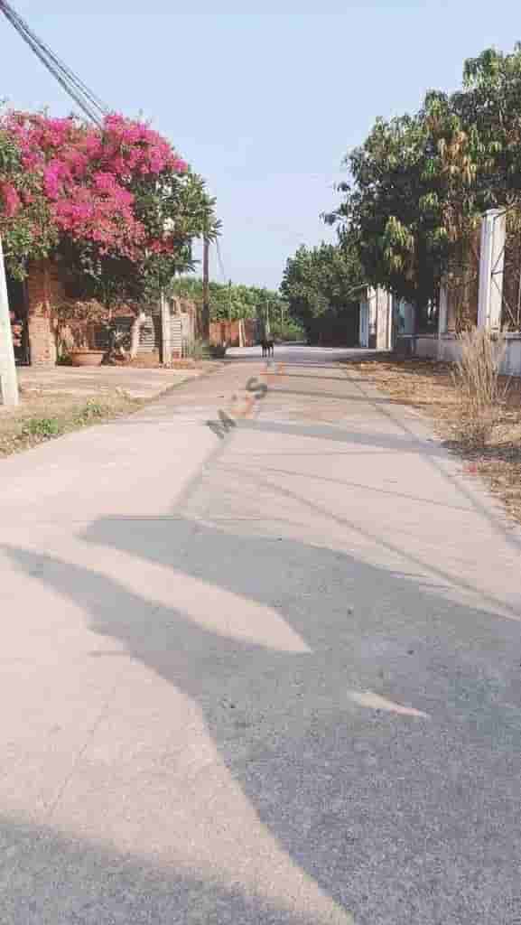 Image Image