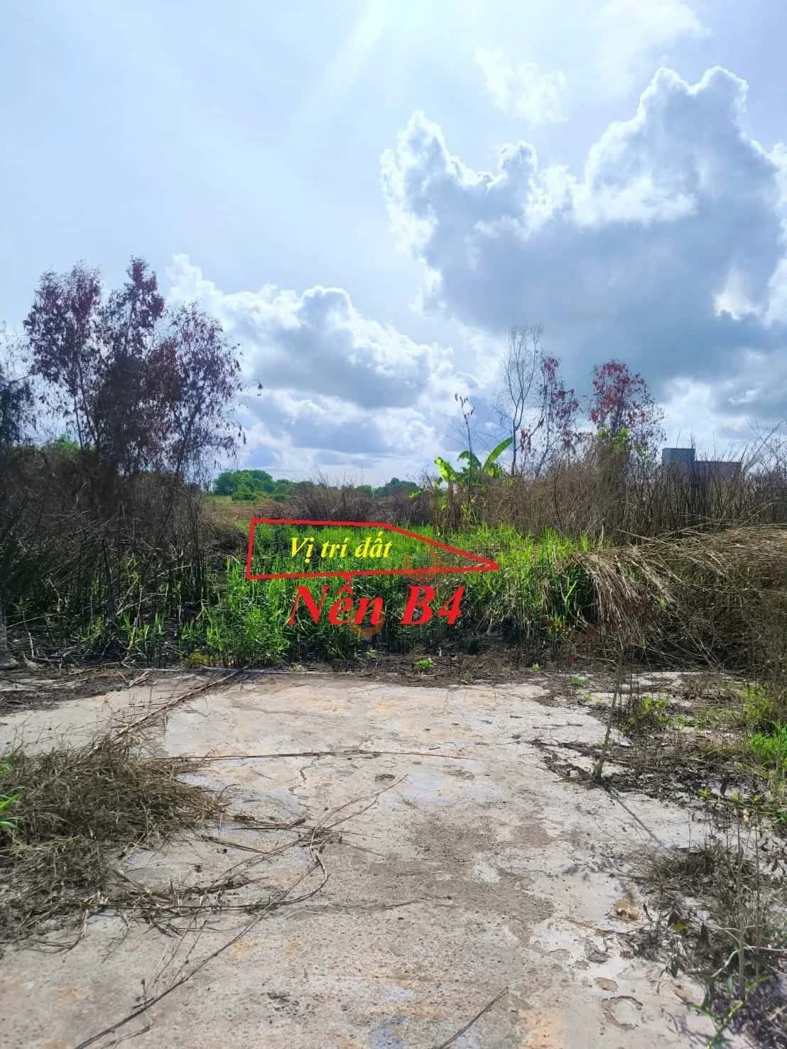 Bán đất đường số 2, khu CB-CNV Sở Lao động TB&XH Thành phố Rạch Giá, Kiên Giang – giá 430 triệu — Hình 2 Bán đất đường số 2, khu CB-CNV Sở Lao động TB&XH Thành phố Rạch Giá, Kiên Giang – giá 430 triệu — Hình 2