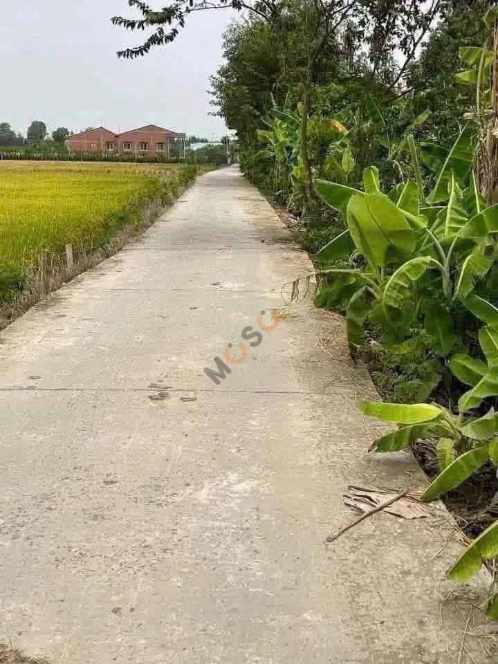 Hình ảnh nhà 2 Hình ảnh nhà 2