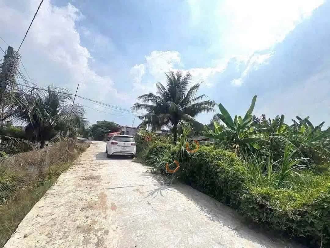 Hình ảnh nhà 2 Hình ảnh nhà 2