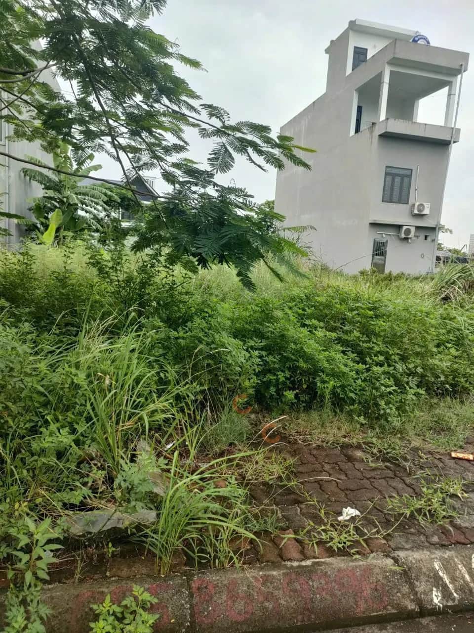 Bán đất Thôn Chân Lầm Thành phố Thuỷ Nguyên, TP. Hải Phòng – giá 4 tỷ Bán đất Thôn Chân Lầm Thành phố Thuỷ Nguyên, TP. Hải Phòng – giá 4 tỷ
