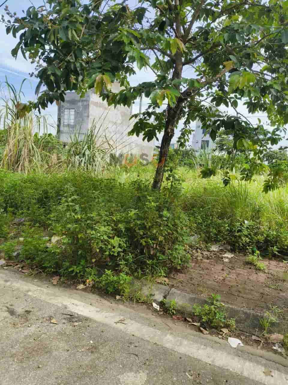 Image Image