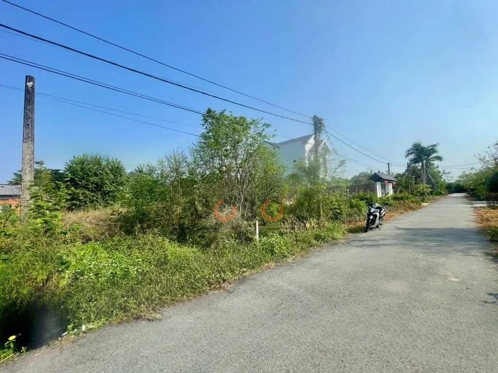 Hình ảnh nhà 2 Hình ảnh nhà 2