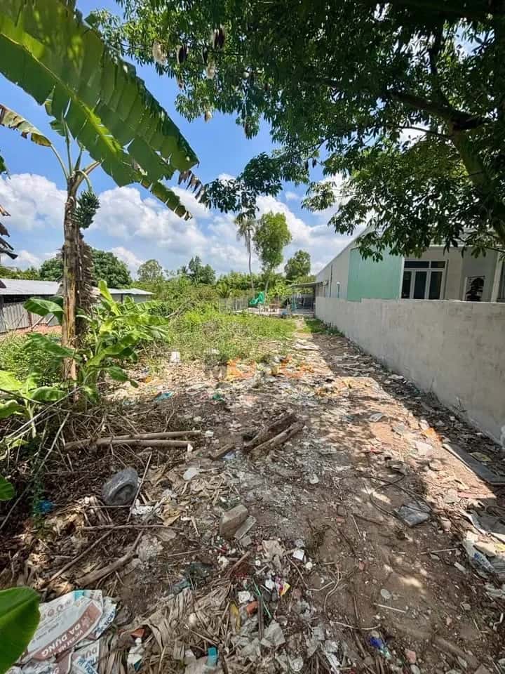 Hình ảnh nhà 2 Hình ảnh nhà 2