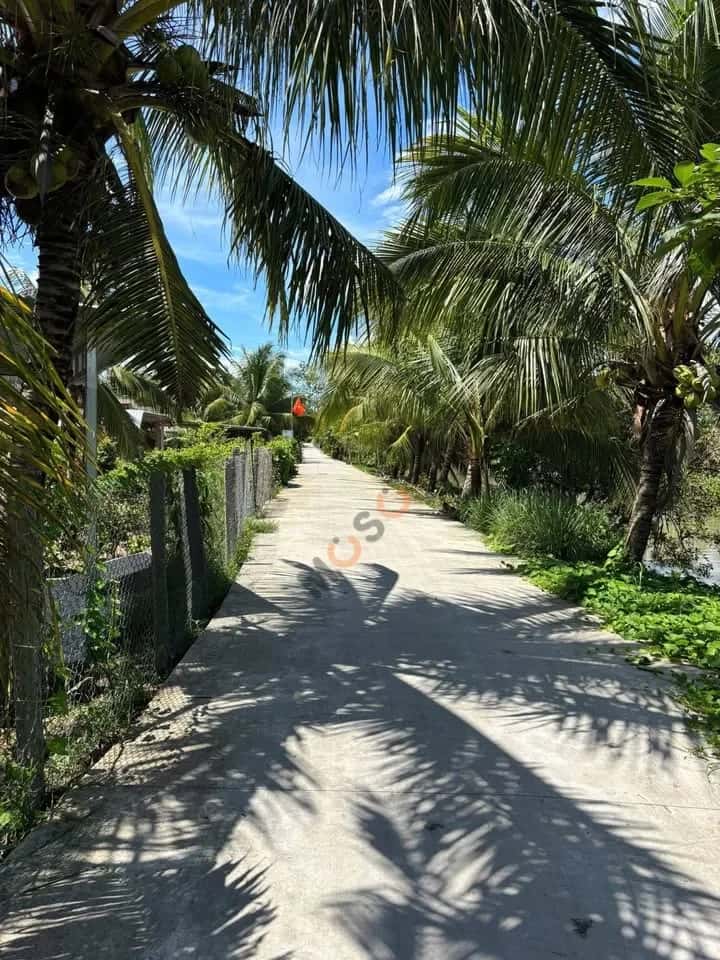 Hình ảnh nhà 3 Hình ảnh nhà 3
