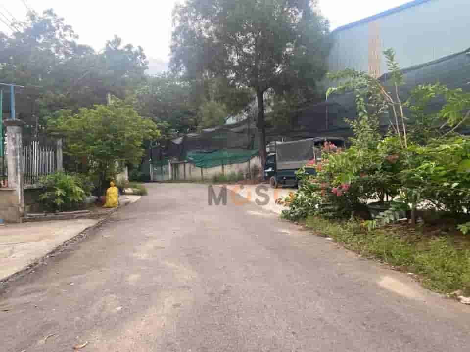 Image Image