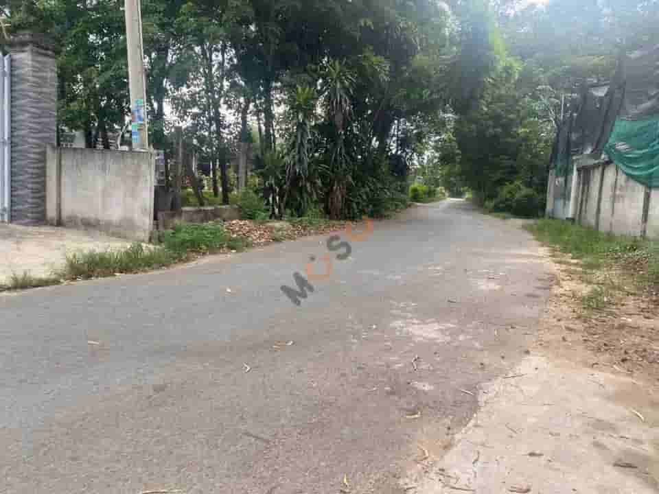 Image Image