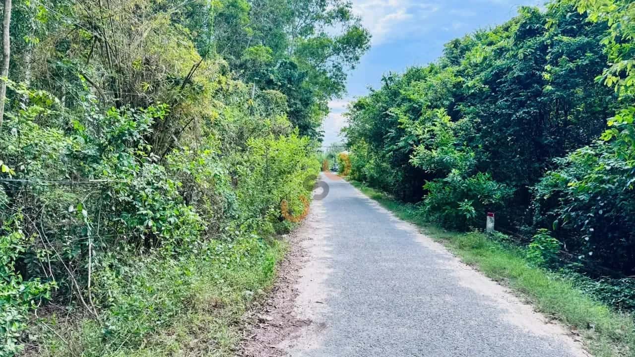 Hình ảnh nhà 3 Hình ảnh nhà 3