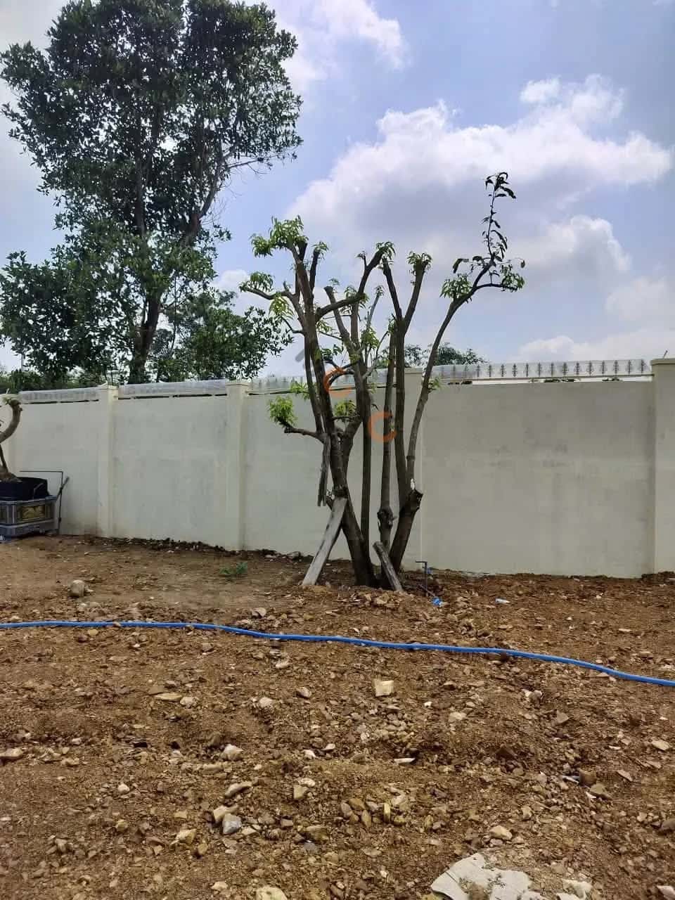 Hình ảnh nhà 3 Hình ảnh nhà 3