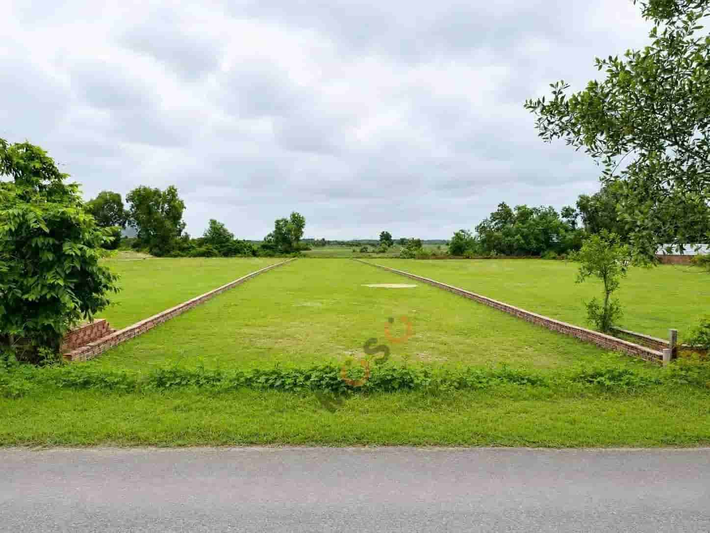Image Image