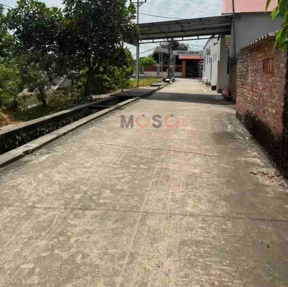 Image Image