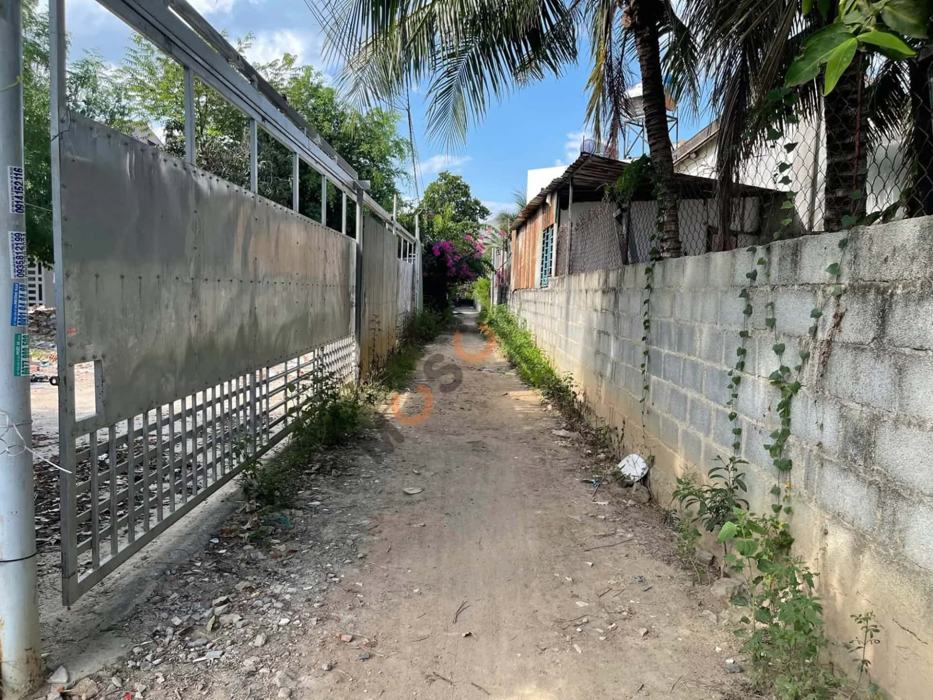Bán đất Thửa 449- Tờ 26 Thôn Xuân Ngọc Thành phố Nha Trang, Khánh Hòa – giá 1.6 tỷ — Hình 3 Bán đất Thửa 449- Tờ 26 Thôn Xuân Ngọc Thành phố Nha Trang, Khánh Hòa – giá 1.6 tỷ — Hình 3