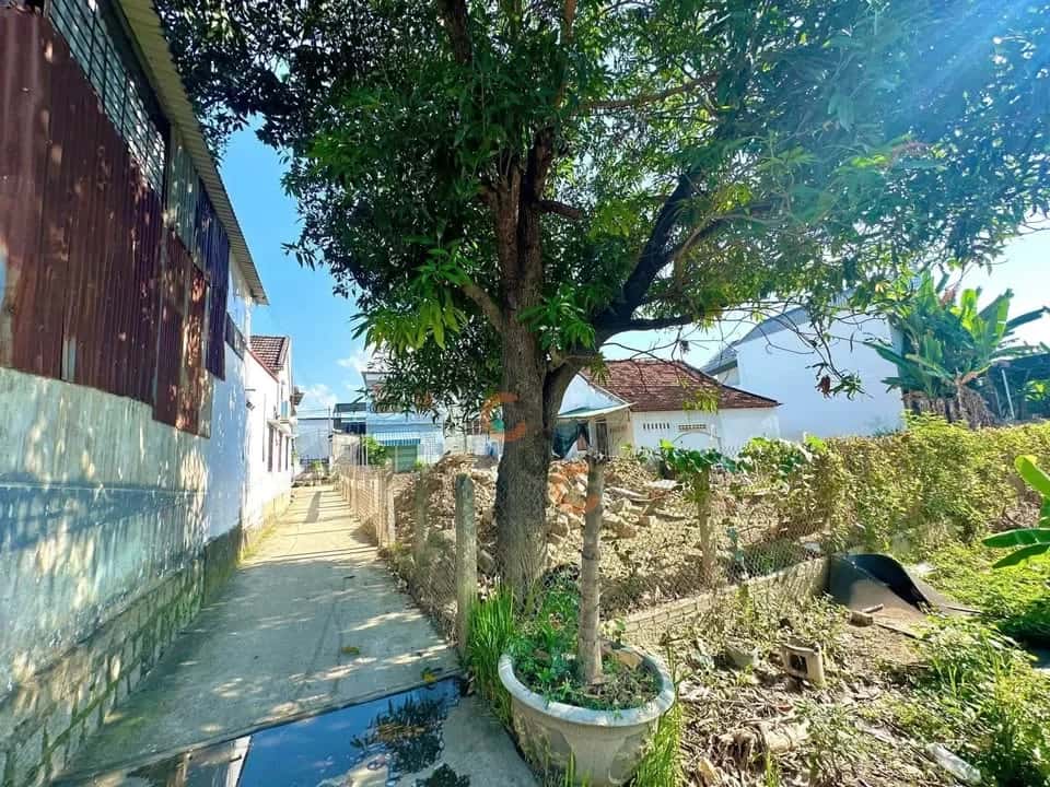 Hình ảnh nhà 3 Hình ảnh nhà 3