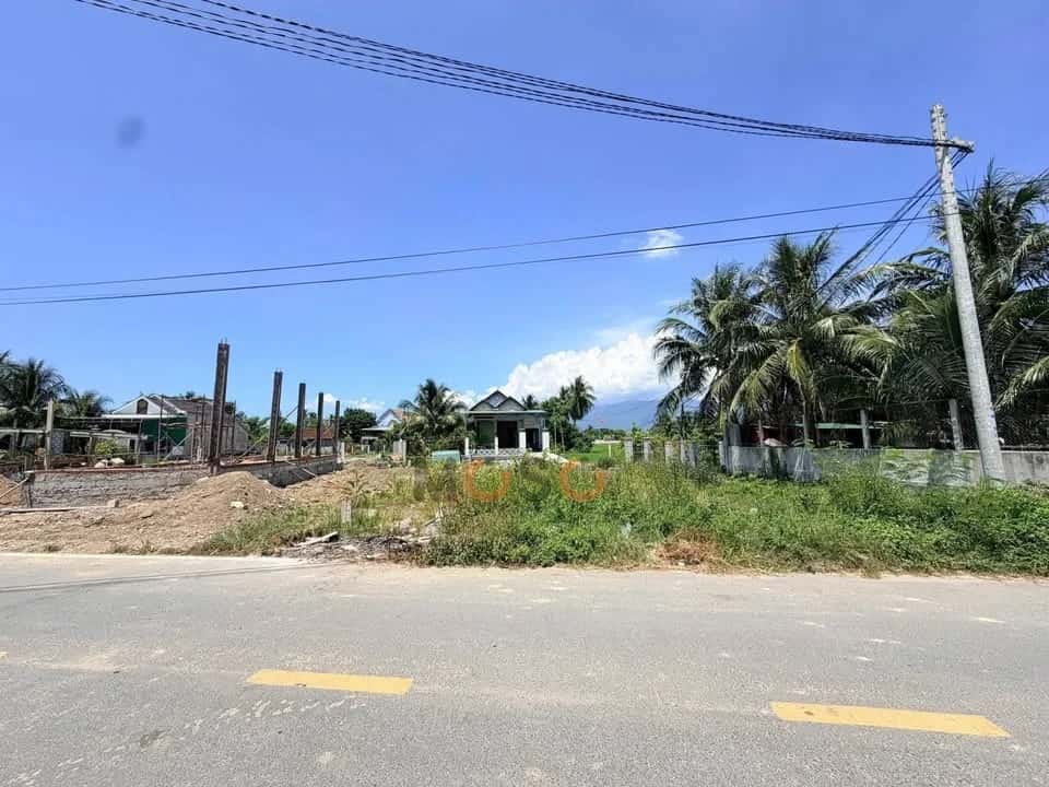 Hình ảnh nhà 2 Hình ảnh nhà 2