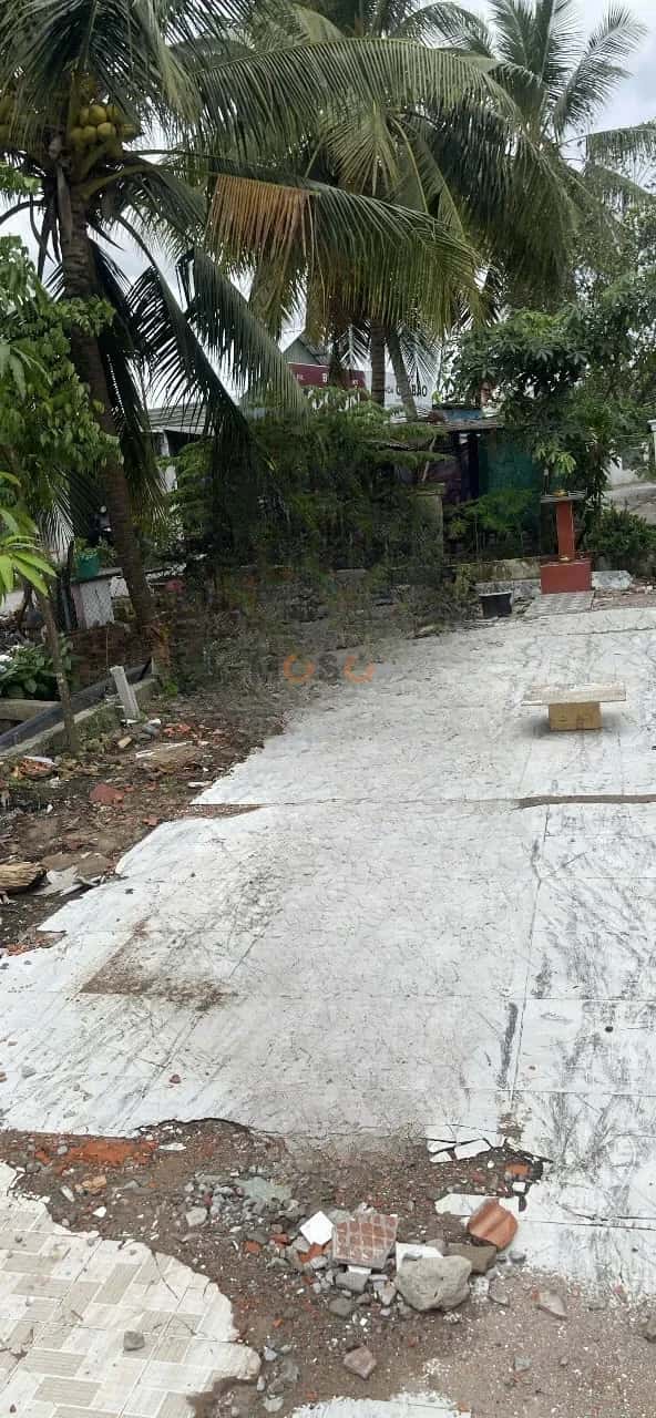 Hình ảnh nhà 2 Hình ảnh nhà 2