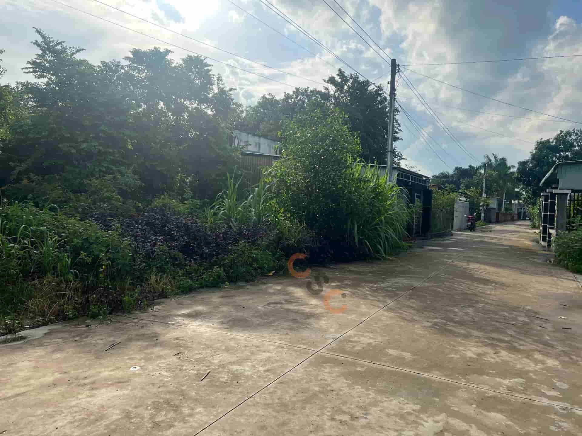 Image Image