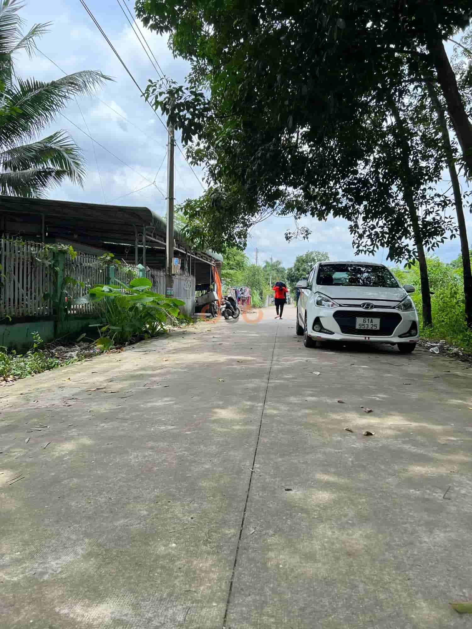 Image Image