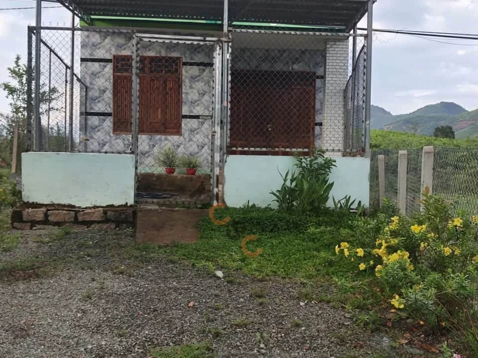 Bán đất thôn Sơn Thành Huyện Khánh Vĩnh, Khánh Hòa – giá 1 tỷ Bán đất thôn Sơn Thành Huyện Khánh Vĩnh, Khánh Hòa – giá 1 tỷ