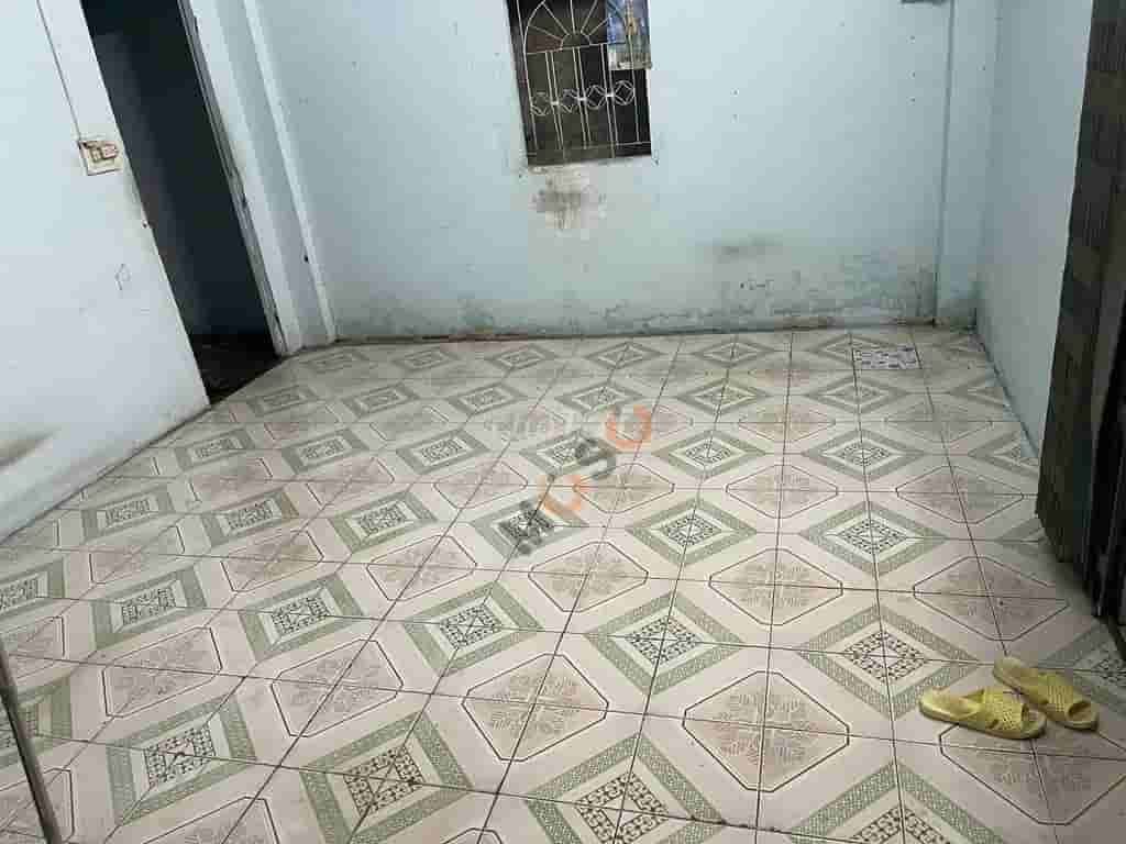 Image Image