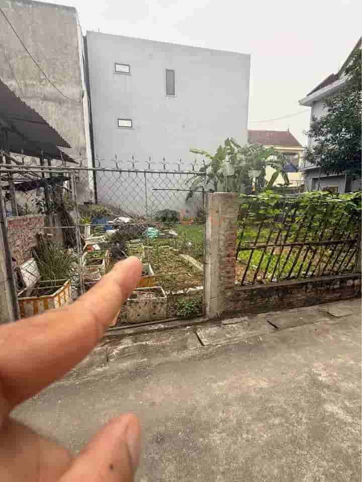 Image Image