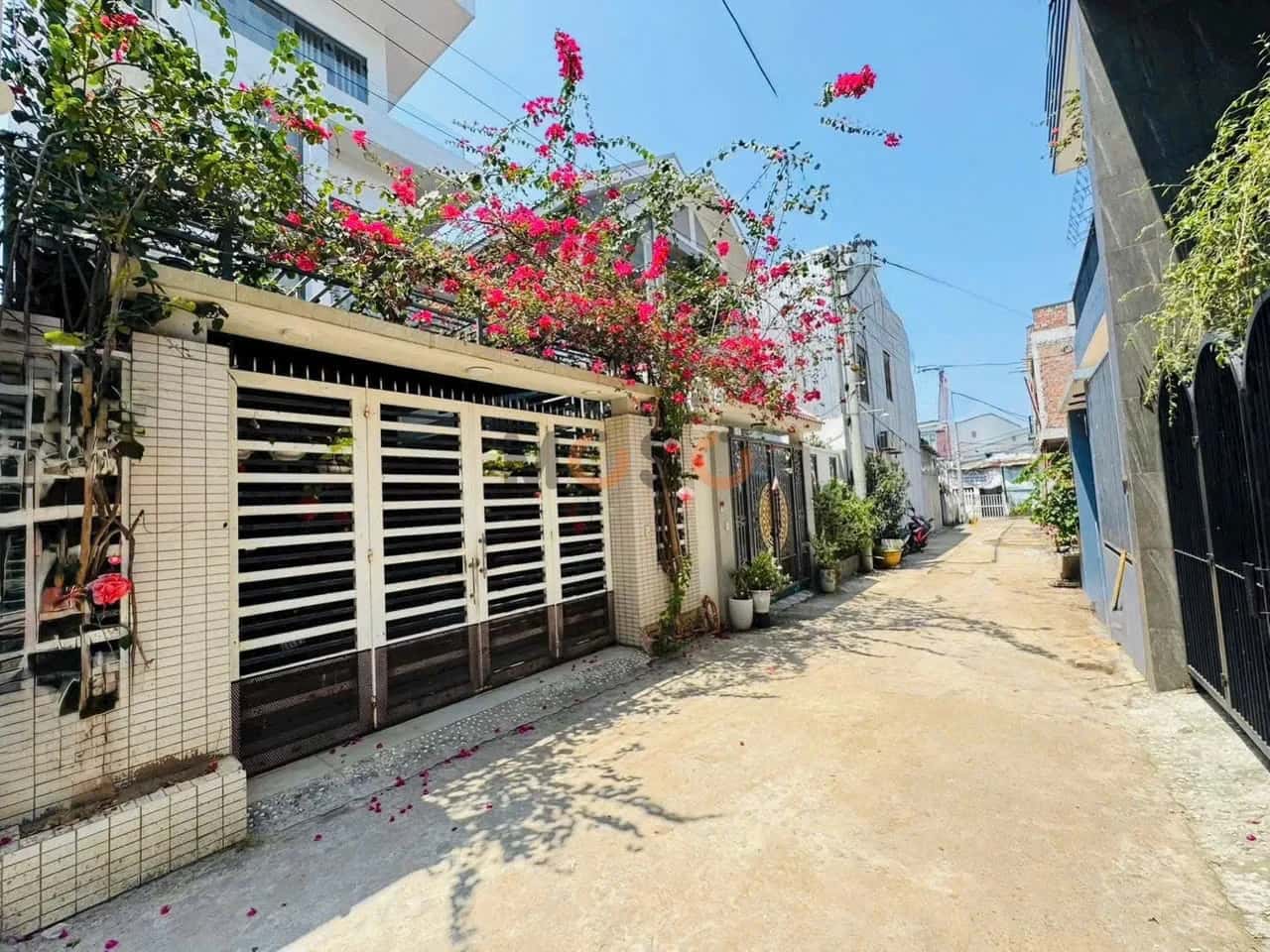 Bán đất Tôn Đản Quận Cẩm Lệ, TP. Đà Nẵng – giá 2.9 tỷ — Hình 3 Bán đất Tôn Đản Quận Cẩm Lệ, TP. Đà Nẵng – giá 2.9 tỷ — Hình 3