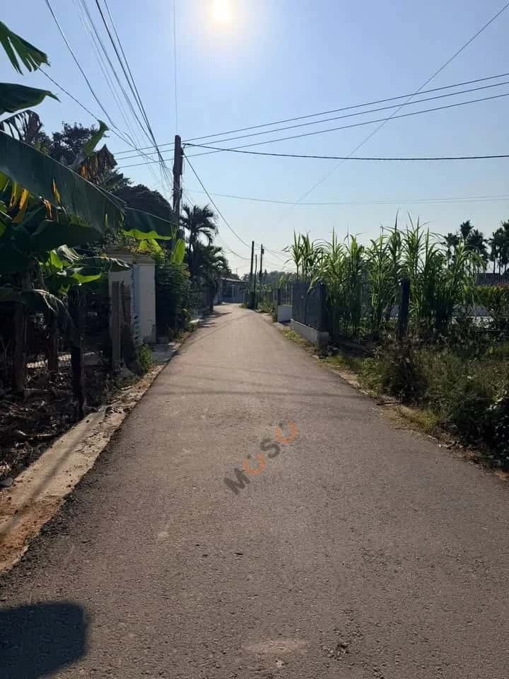 Bán đất Thôn Quang Thạnh Huyện Diên Khánh, Khánh Hòa – giá 1.1 tỷ — Hình 3 Bán đất Thôn Quang Thạnh Huyện Diên Khánh, Khánh Hòa – giá 1.1 tỷ — Hình 3