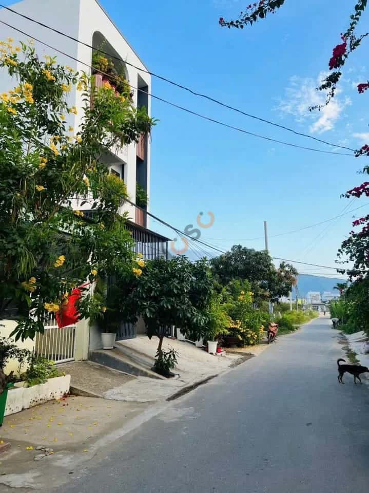 Bán đất Chợ Chiều , Thôn Phú Ân Nam 2 Huyện Diên Khánh, Khánh Hòa – giá 1.8 tỷ — Hình 3 Bán đất Chợ Chiều , Thôn Phú Ân Nam 2 Huyện Diên Khánh, Khánh Hòa – giá 1.8 tỷ — Hình 3