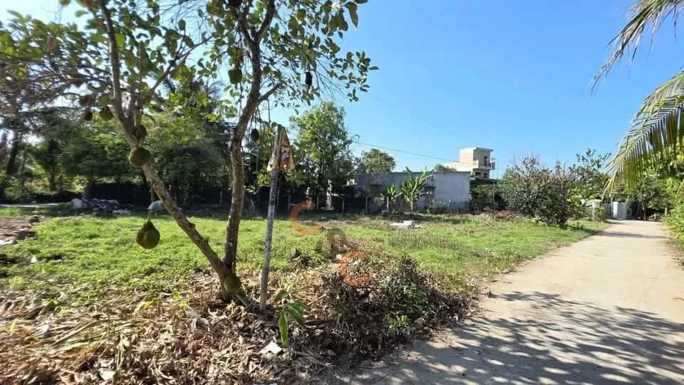 Bán đất Thôn An Ninh Huyện Diên Khánh, Khánh Hòa – giá 1.1 tỷ — Hình 3 Bán đất Thôn An Ninh Huyện Diên Khánh, Khánh Hòa – giá 1.1 tỷ — Hình 3