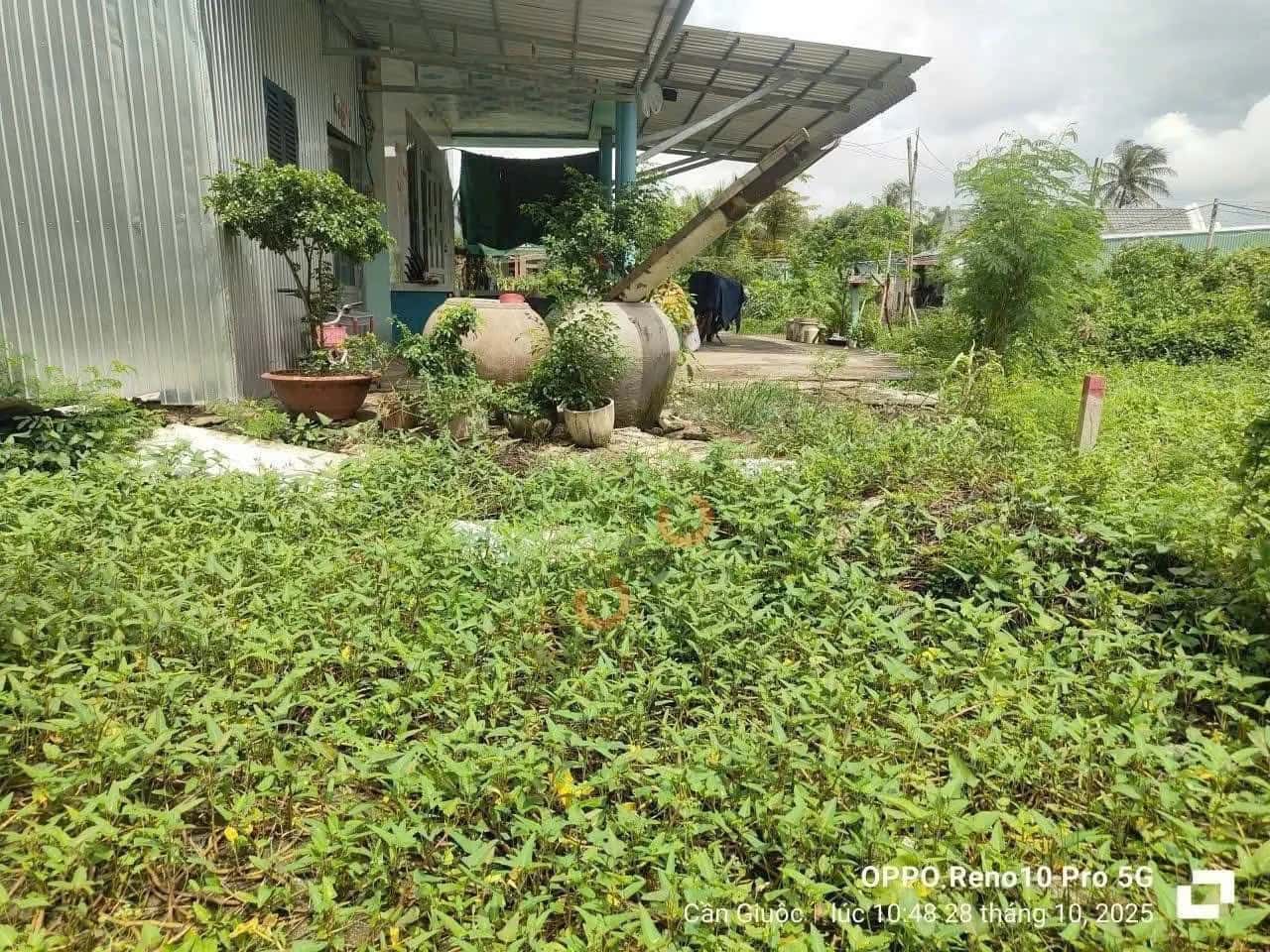 Hình ảnh nhà 2 Hình ảnh nhà 2
