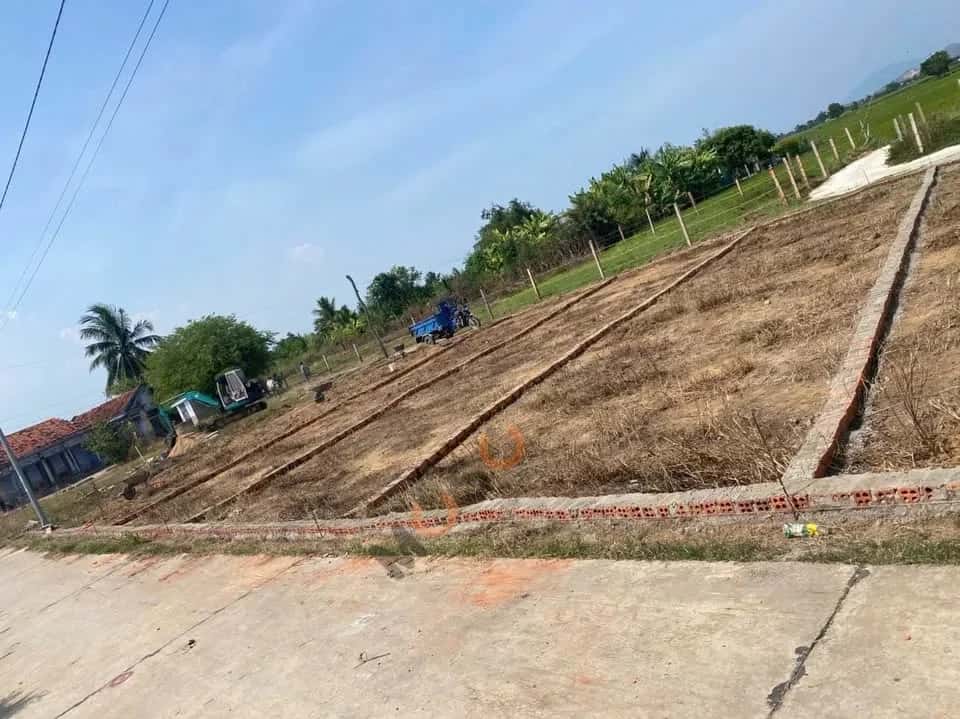 Hình ảnh nhà 2 Hình ảnh nhà 2