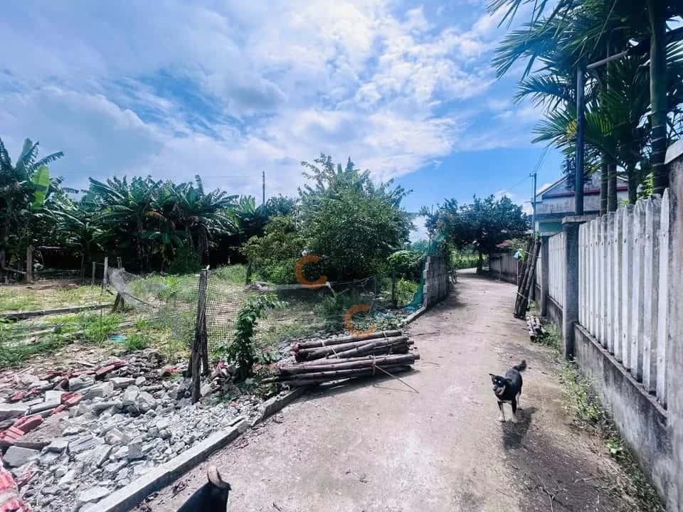 Hình ảnh nhà 3 Hình ảnh nhà 3