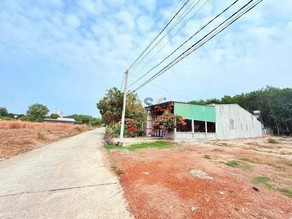 Hình ảnh nhà 2 Hình ảnh nhà 2